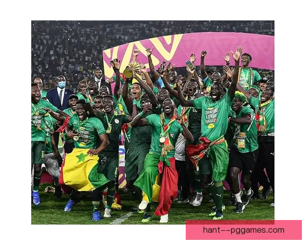 女足非洲杯影响力提升参赛队伍数量与竞技水平显著提高